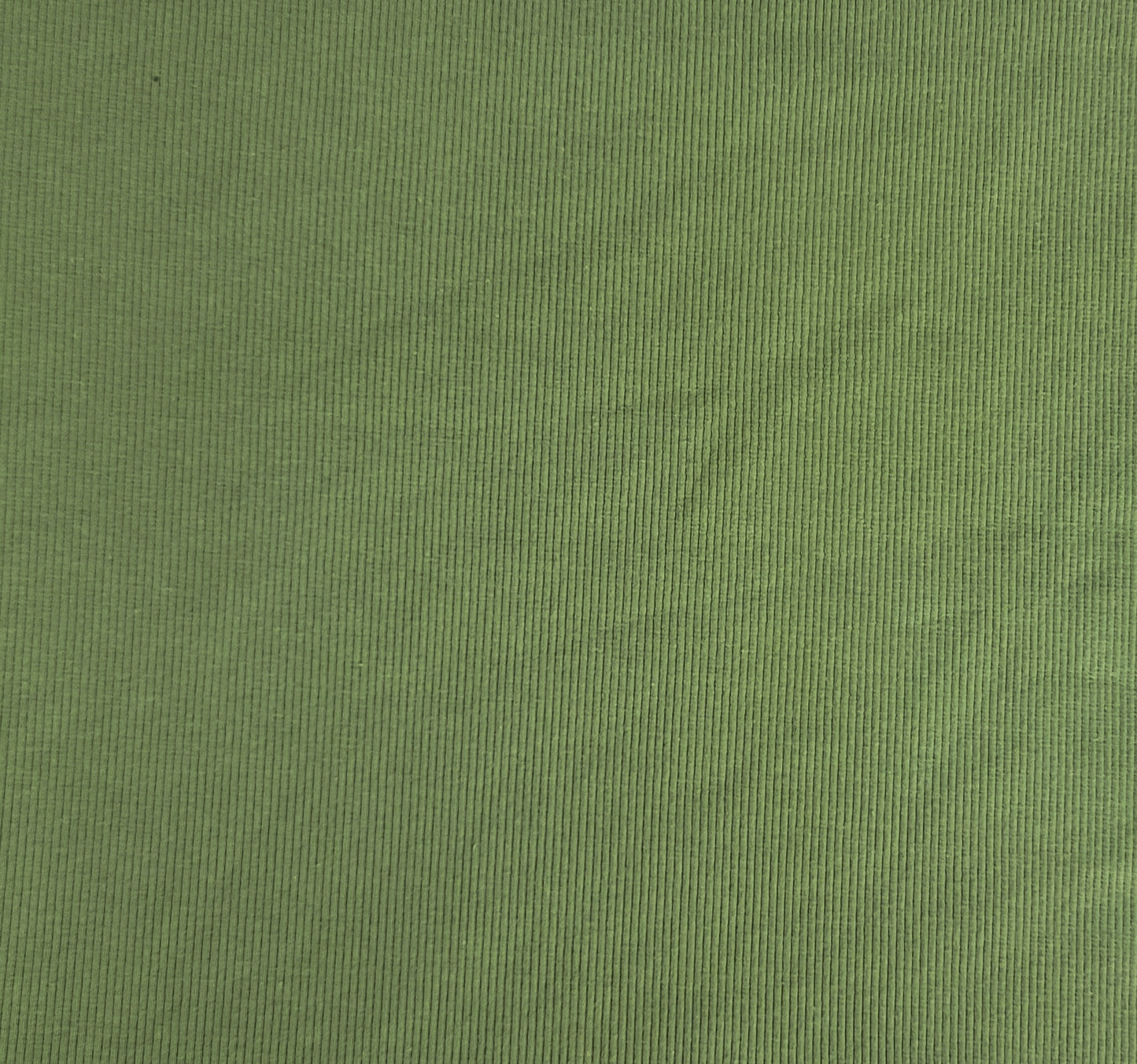 Olive Combed Cotton Spandex 2x1 Rib Fabric